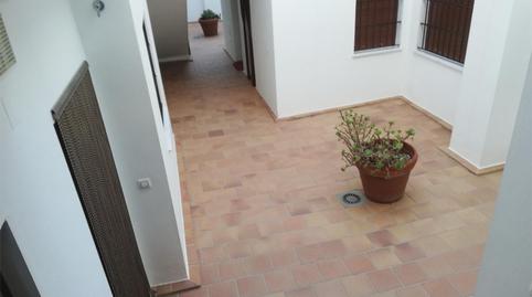 Pis de lloguer a Avenida de la Constitución, 44a, Avenida de Rota, Cádiz - imatge 5 Foto 5 de Pis de lloguer a Avenida de la Constitución, 44a, Avenida de Rota, Cádiz