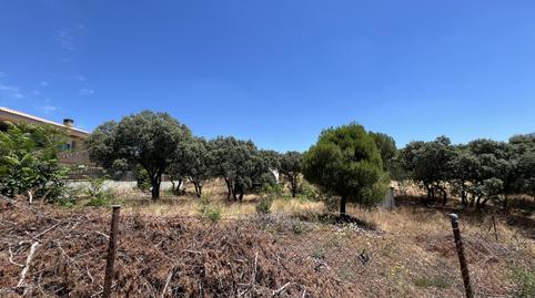 Photo 4 of Land for sale in Calle Atalaya, 22, Las Zorreras - Monte Encinar, Madrid