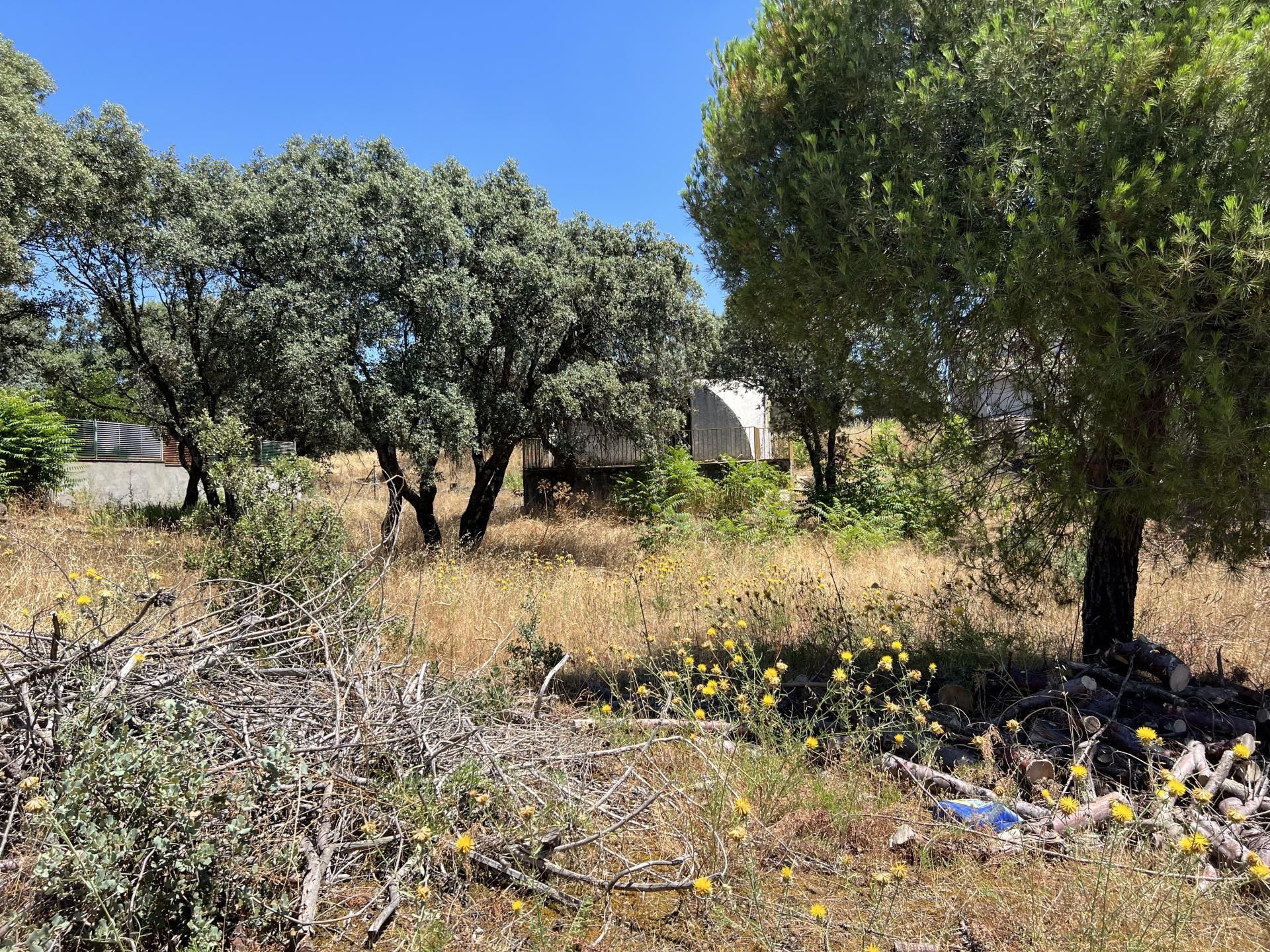Land for sale in El Escorial