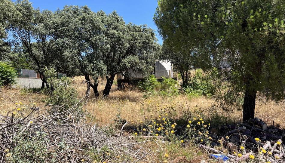 Photo 1 of Land for sale in Calle Atalaya, 22, Las Zorreras - Monte Encinar, Madrid