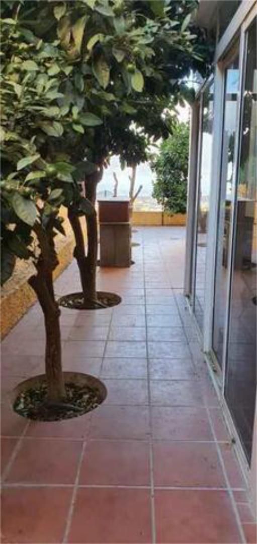 Terrassa de Apartament de lloguer en Santa Brígida