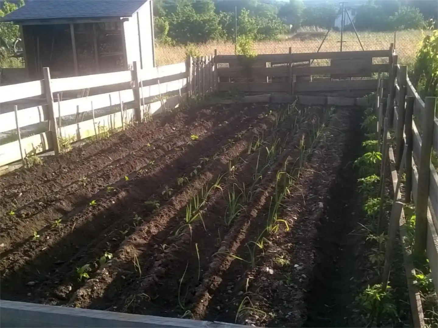 Wohnung zum Verkauf in Avenida Santos Cascallana, 1, Cacabelos Garten von Wohnung zum Verkauf in Cacabelos mit Heizung, Privatgarten und Parkett