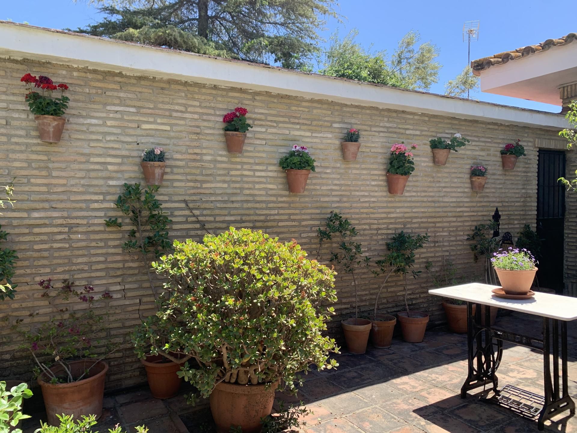 Garden of House or chalet for sale in Mairena del Aljarafe  with Air Conditioner, Heating and Private garden