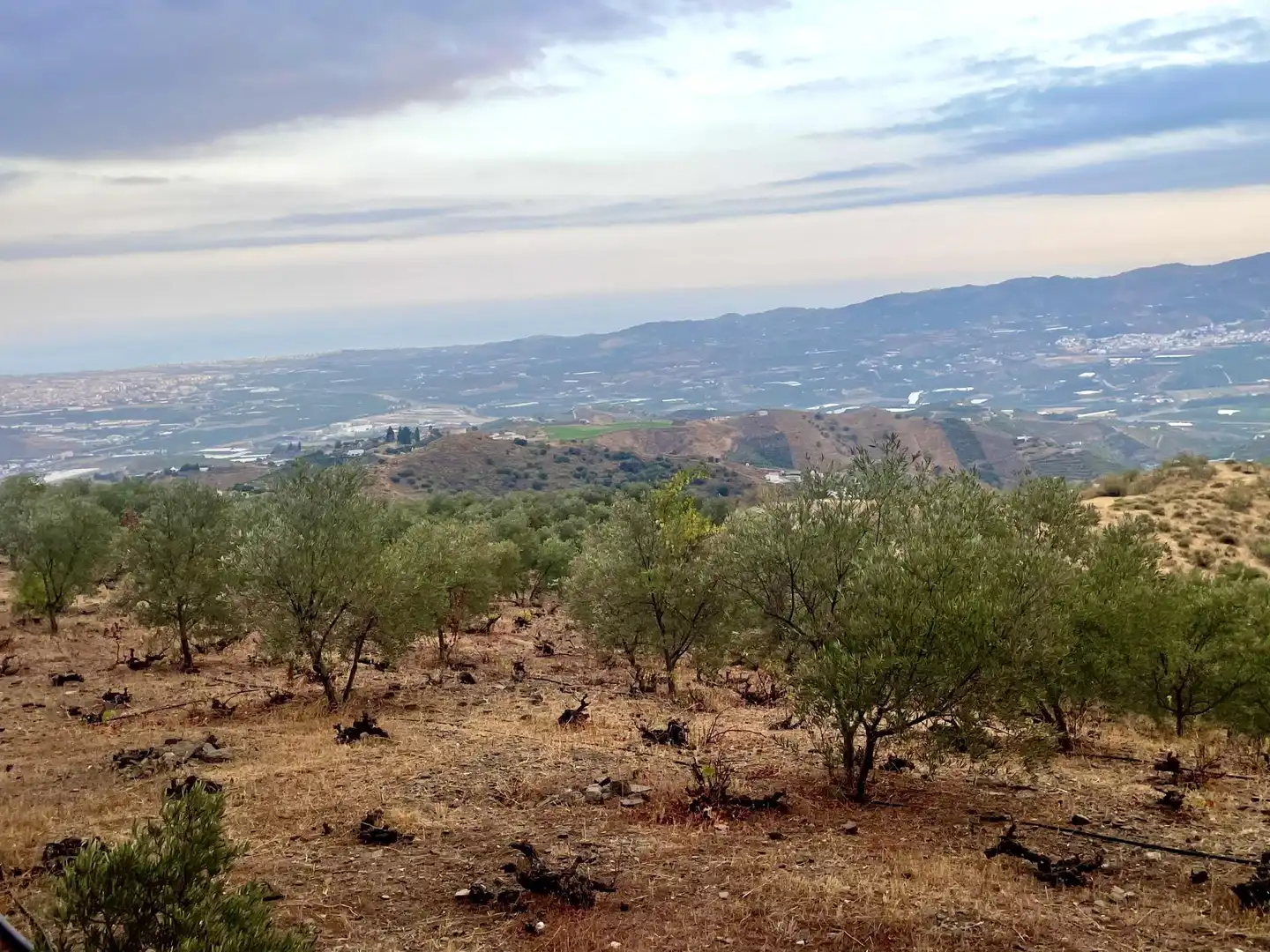 Finca rústica en venda a A-7205, 16, Norte - Barrio del Pilar - El Reñidero Finca rústica en venda en Vélez-Málaga amb Calefacció, Jardí privat i Parquet