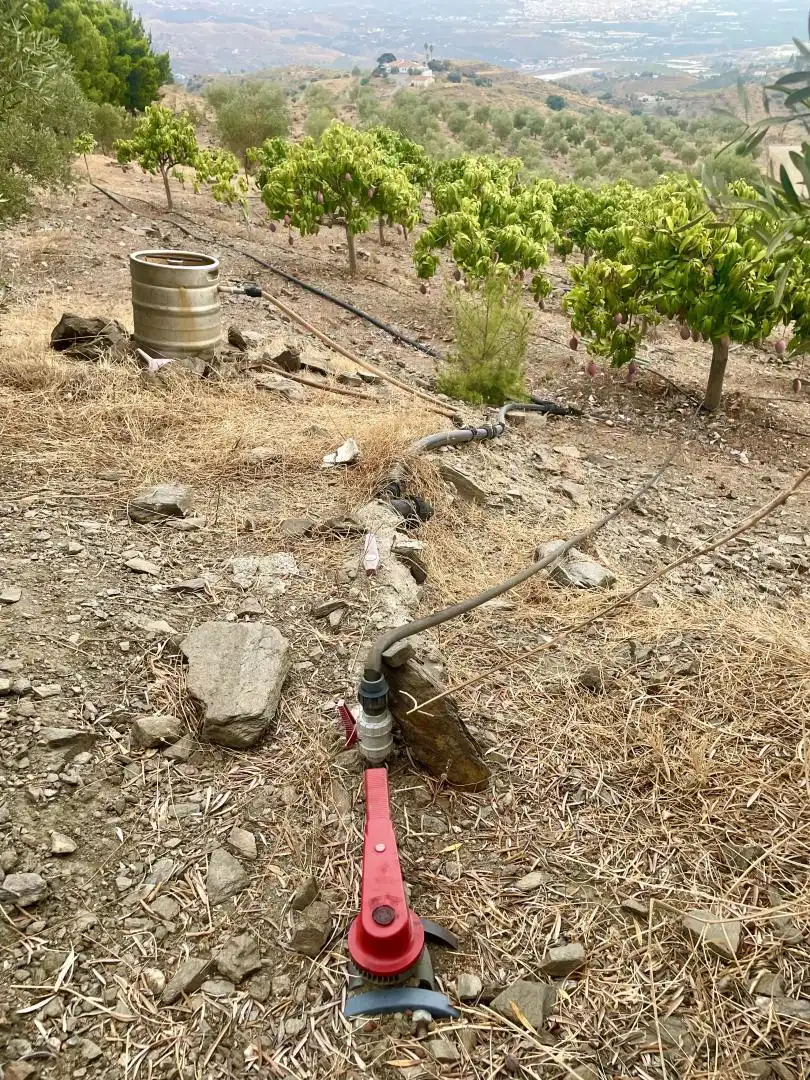 Finca rústica en venda a A-7205, 16, Norte - Barrio del Pilar - El Reñidero Jardí de Finca rústica en venda en Vélez-Málaga amb Calefacció, Jardí privat i Parquet