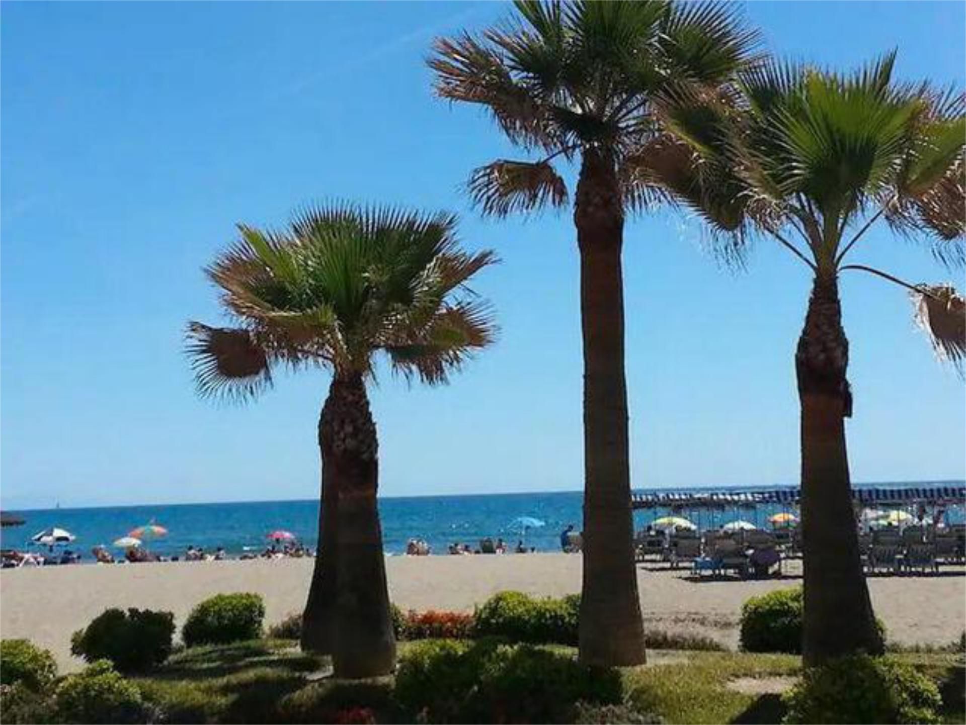 Exterior view of Apartment to rent in Fuengirola  with Heating, Terrace and Swimming Pool