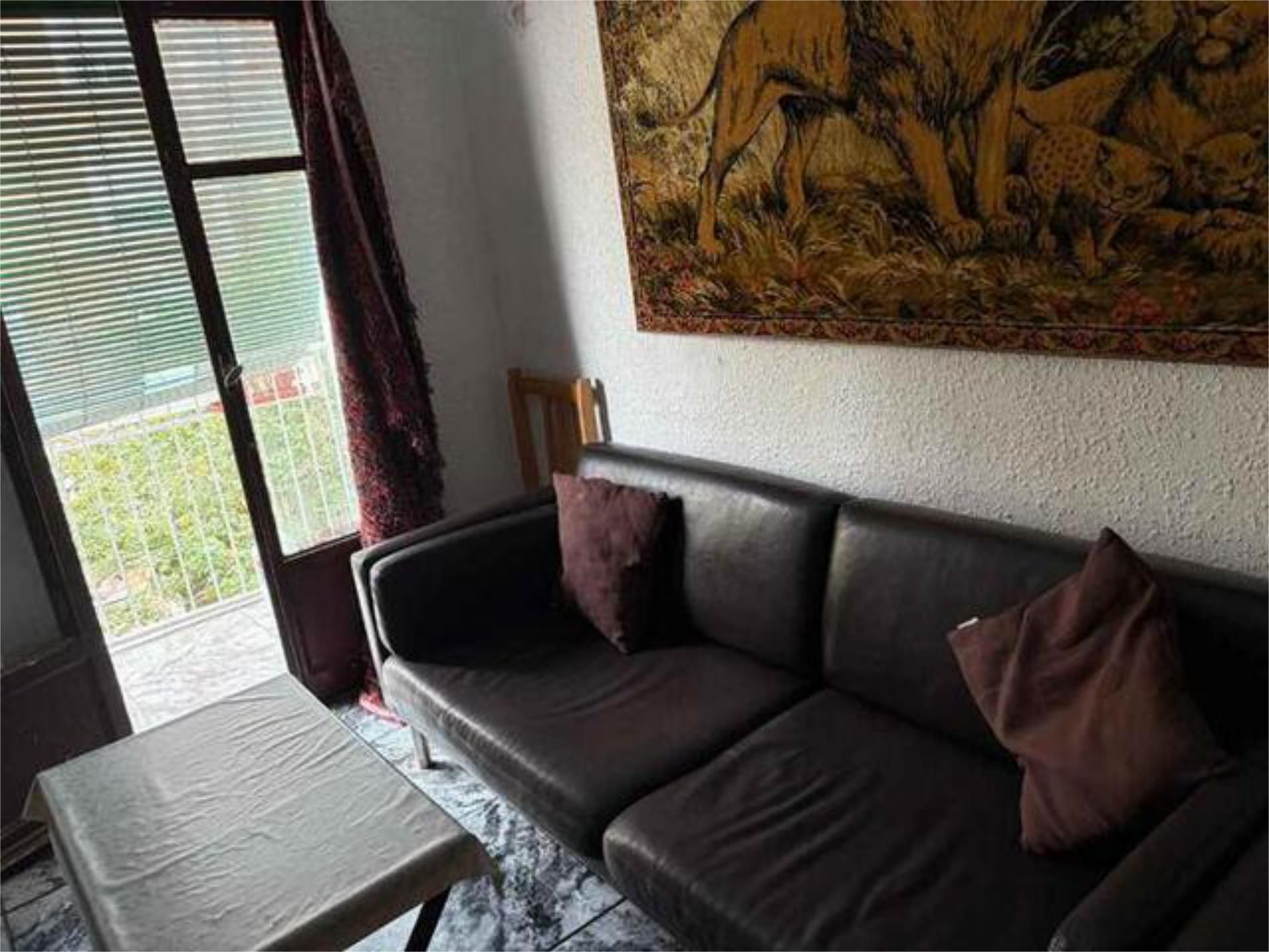 Living room of Flat to rent in Canals  with Terrace and Pets allowed