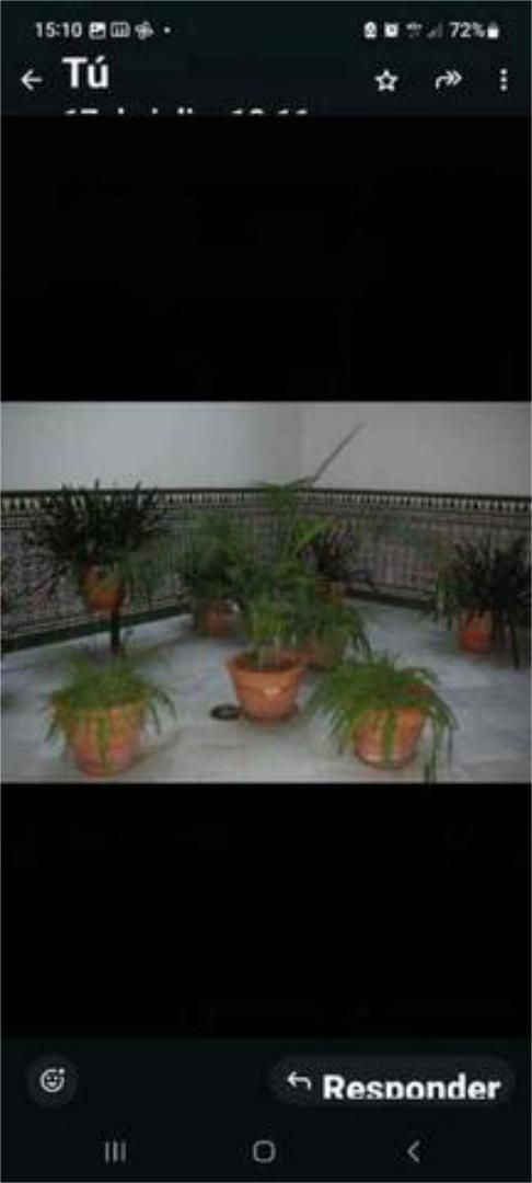 Terrace of Study for sale in  Sevilla Capital  with Furnished