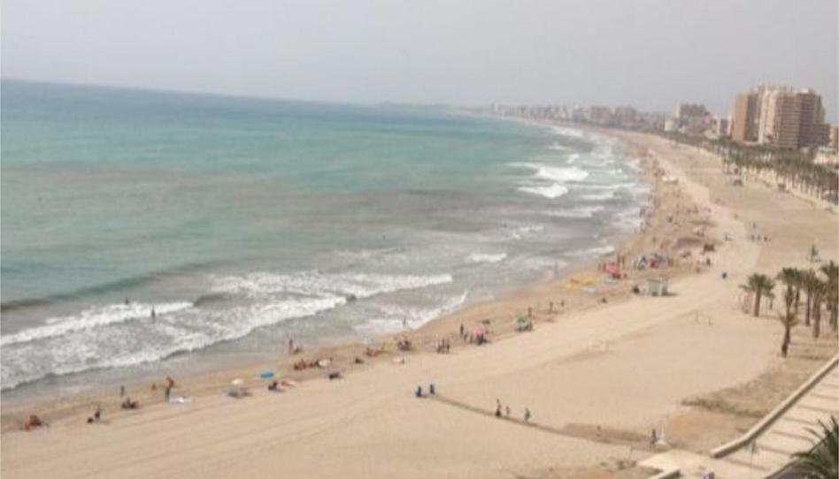 Flat to share in Avenida Jaime I el Conquistador, 24, Playa Muchavista, Alicante - image 1 Photo 1 of Flat to share in Avenida Jaime I el Conquistador, 24, Playa Muchavista, Alicante