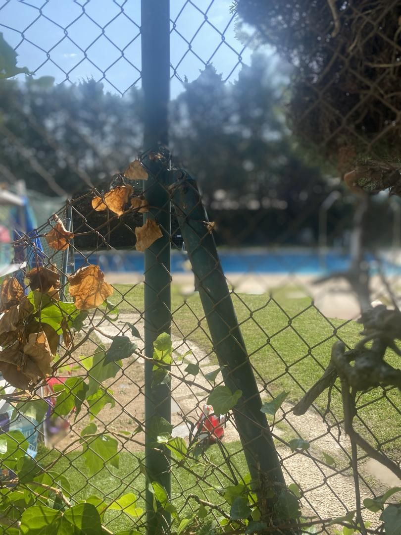 Jardí de Pis en venda en Moralzarzal amb Calefacció, Jardí privat i Terrassa