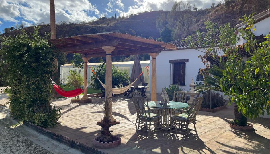 Finca rústica de alquiler en Poligono 10, 195, Casabermeja, Málaga - imagen 1 Foto 1 de Finca rústica de alquiler en Poligono 10, 195, Casabermeja, Málaga