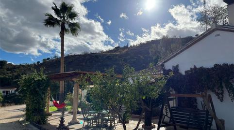 Finca rústica de alquiler en Poligono 10, 195, Casabermeja, Málaga - imagen 2 Foto 2 de Finca rústica de alquiler en Poligono 10, 195, Casabermeja, Málaga