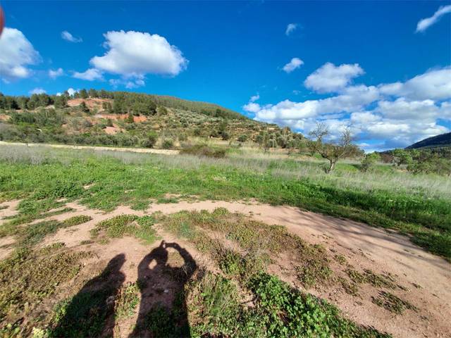 Terreno en Venta en Calle Hormacaida, 22 en Bogarra