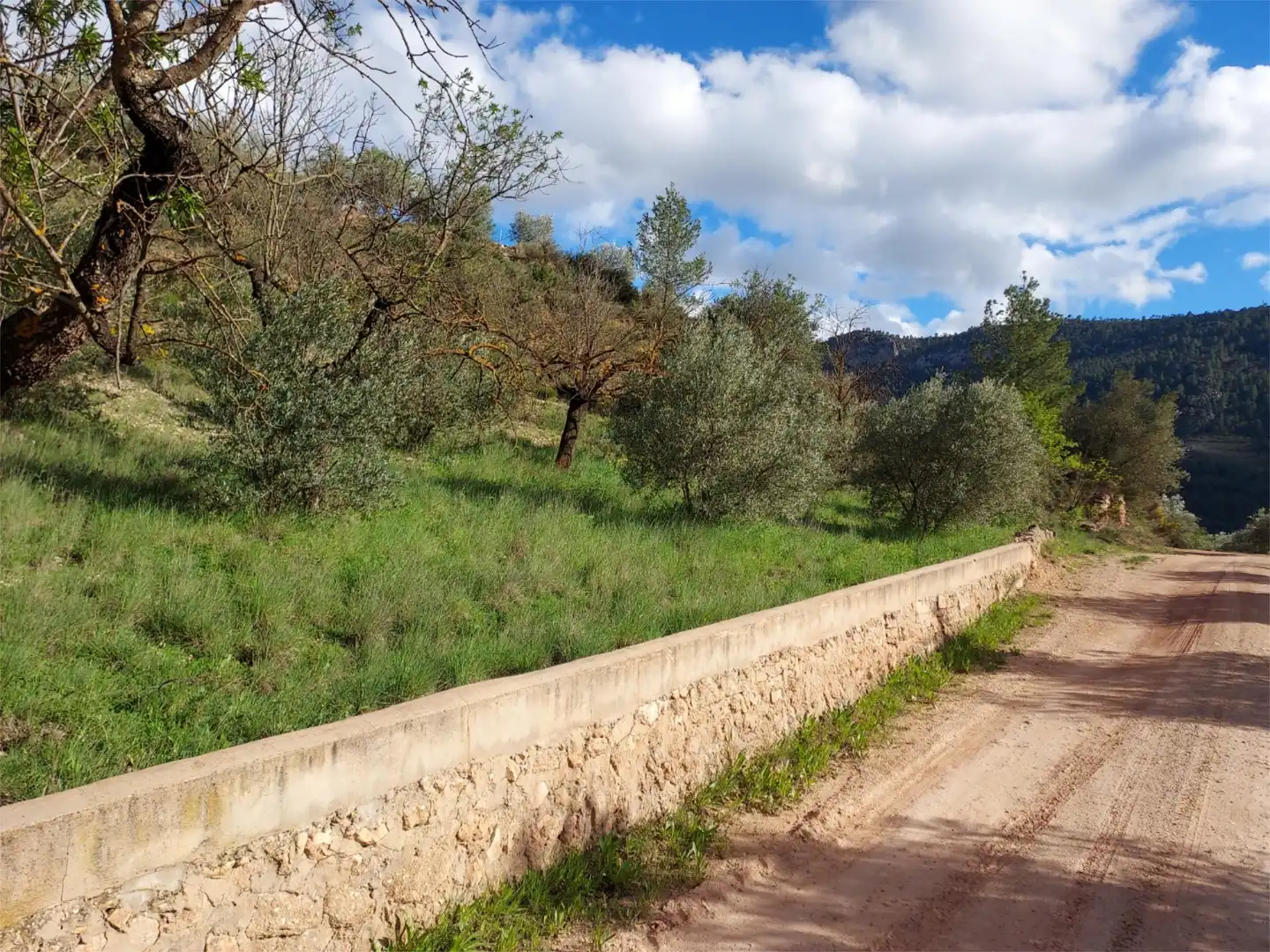 Land for sale in Calle Hormacaida, 22, Bogarra Land for sale in Bogarra