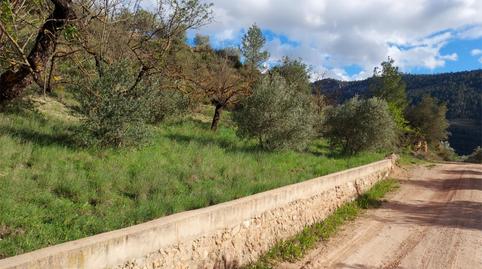 Photo 2 of Land for sale in Calle Hormacaida, 22, Bogarra, Albacete