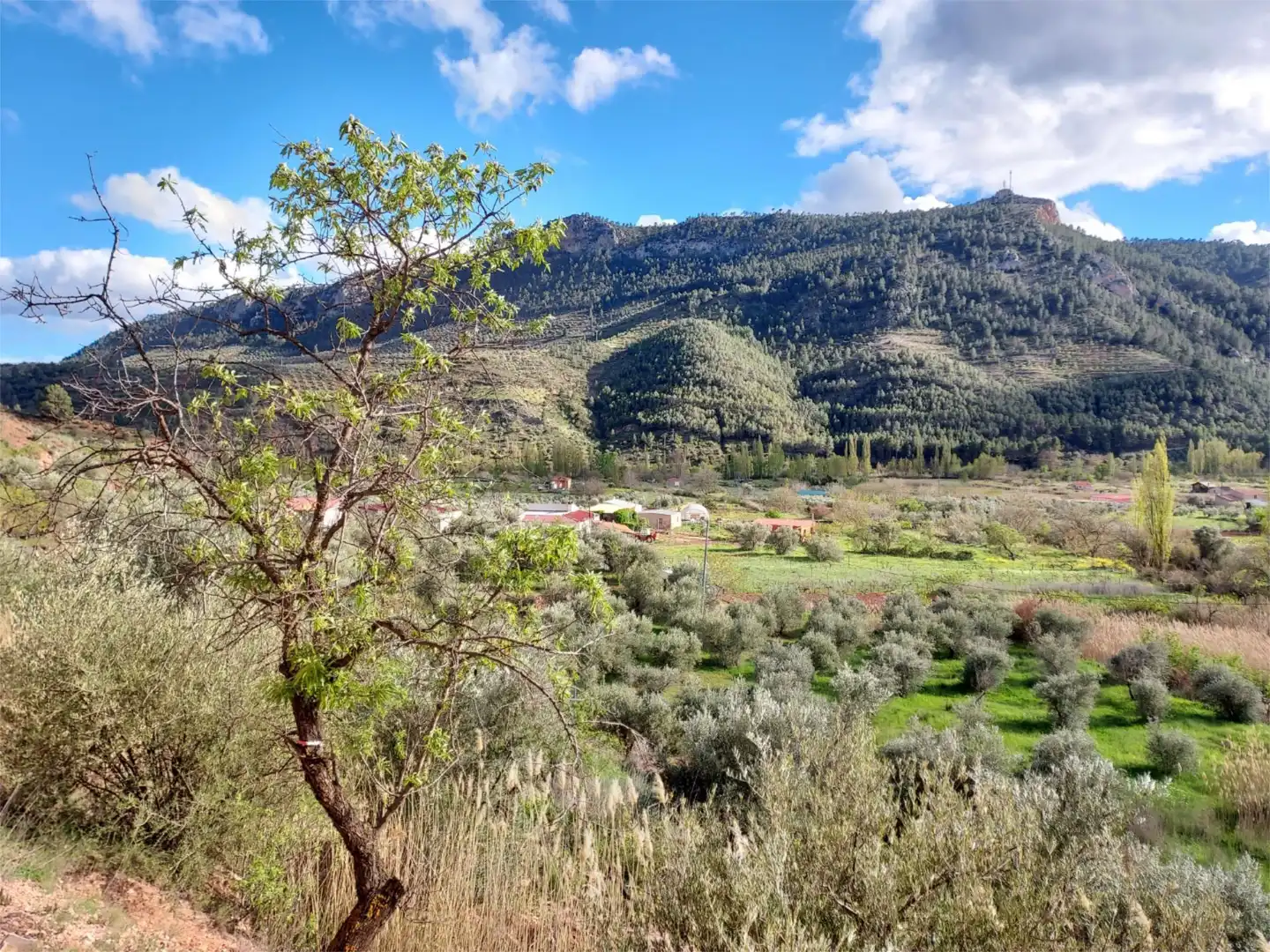 Land for sale in Calle Hormacaida, 22, Bogarra Exterior view of Land for sale in Bogarra