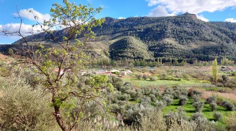 Photo 5 of Land for sale in Calle Hormacaida, 22, Bogarra, Albacete