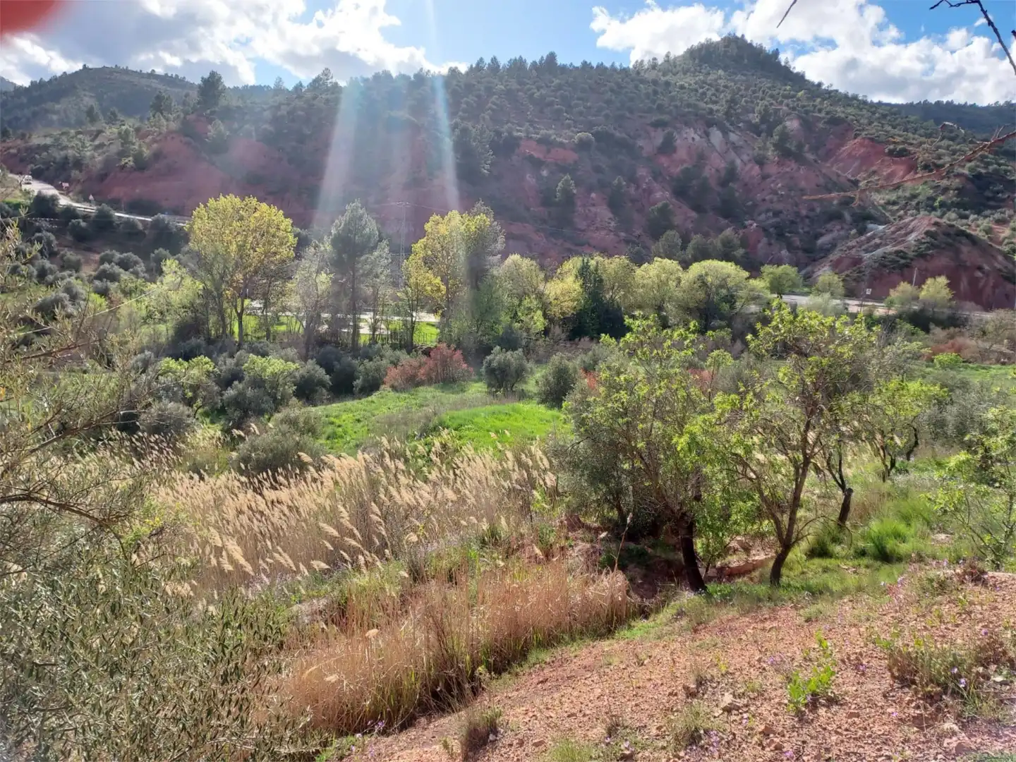 Land for sale in Calle Hormacaida, 22, Bogarra Garden of Land for sale in Bogarra