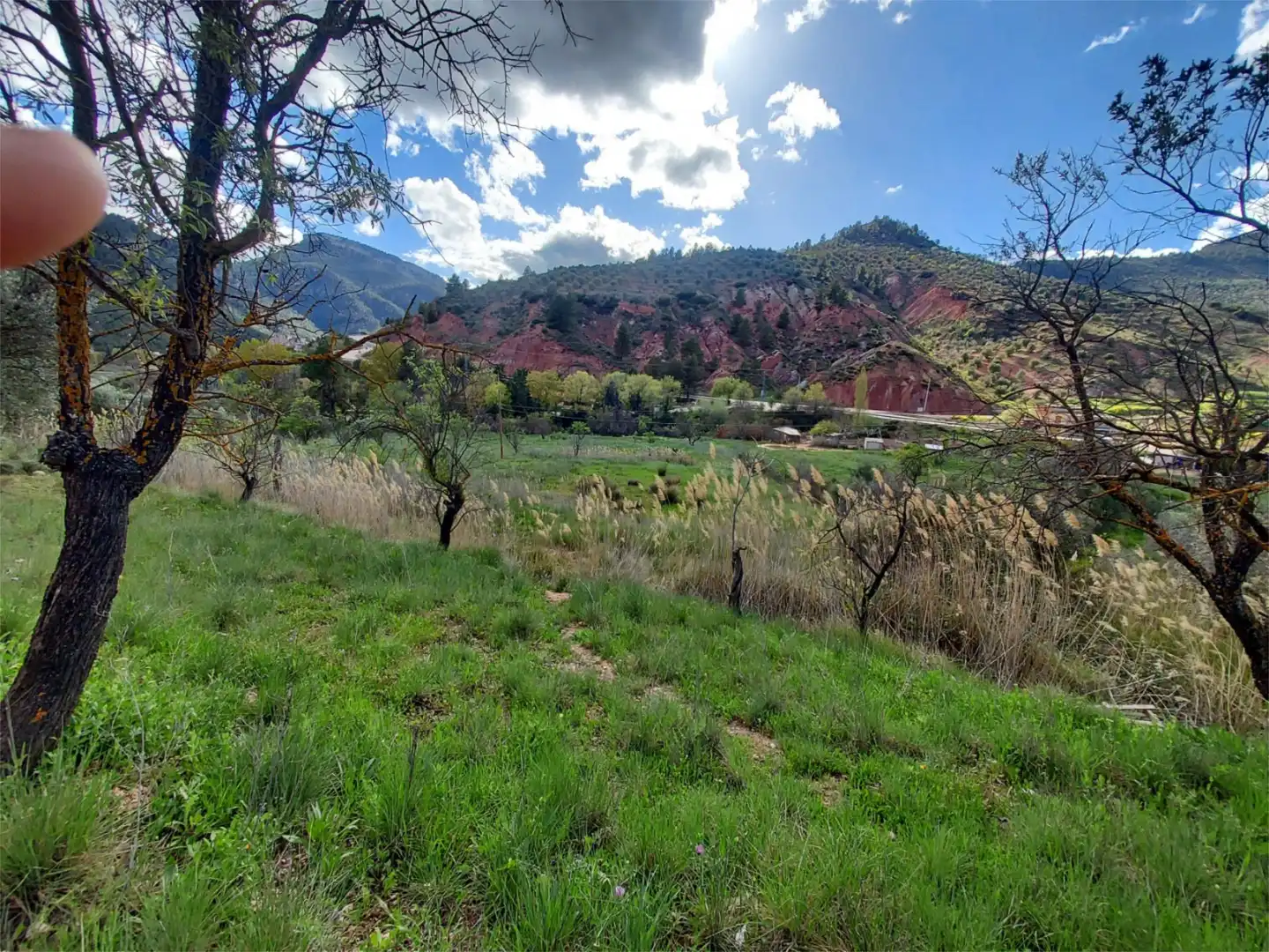 Land for sale in Calle Hormacaida, 22, Bogarra Exterior view of Land for sale in Bogarra