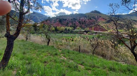 Photo 4 of Land for sale in Calle Hormacaida, 22, Bogarra, Albacete