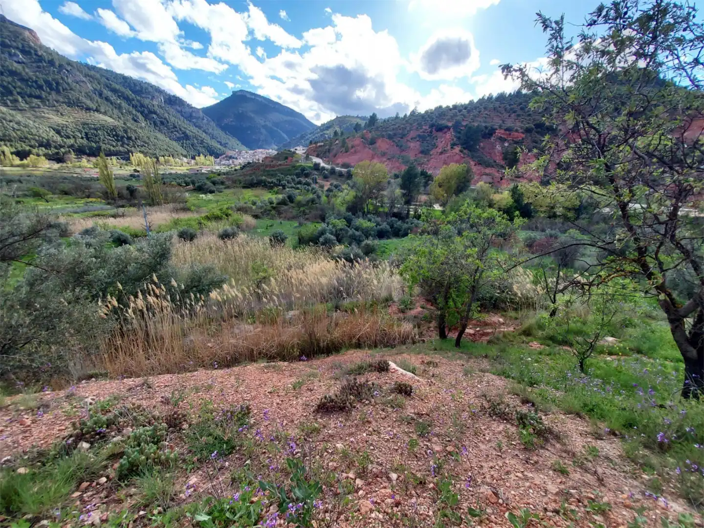 Land for sale in Calle Hormacaida, 22, Bogarra Land for sale in Bogarra
