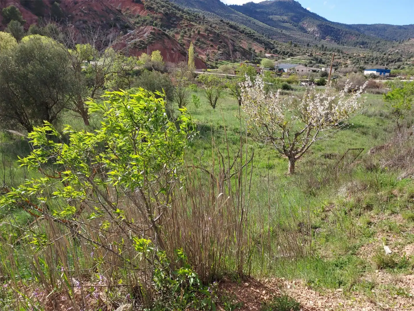 Land for sale in Calle Hormacaida, 22, Bogarra Land for sale in Bogarra