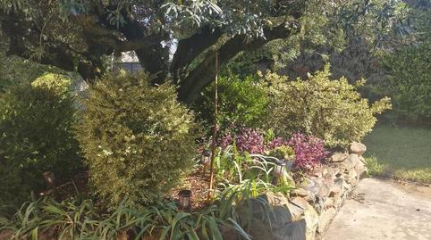 Finca rústica en venda a Calle Alfredo Lacasa, 93, Andosilla, Navarra - imatge 3 Foto 3 de Finca rústica en venda a Calle Alfredo Lacasa, 93, Andosilla, Navarra