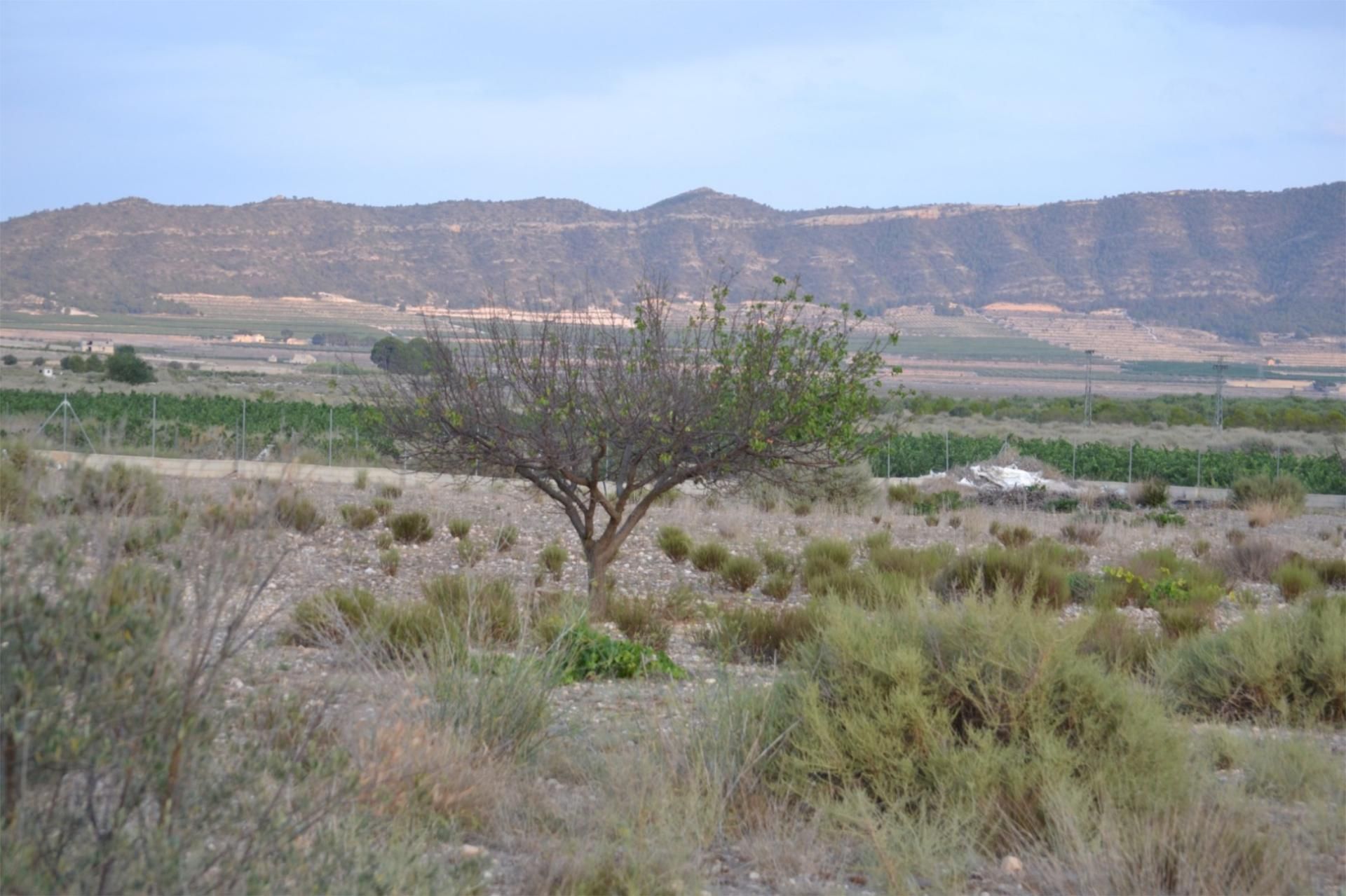 Country house for sale in Salinas  with Private garden