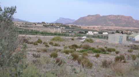 Finca rústica en venda a Paraje las Beatas, 191, Salinas, Alicante - imatge 2 Foto 2 de Finca rústica en venda a Paraje las Beatas, 191, Salinas, Alicante