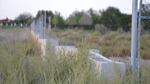 Finca rústica en venda a Paraje las Beatas, 191, Salinas, Alicante - imatge 3 Foto 3 de Finca rústica en venda a Paraje las Beatas, 191, Salinas, Alicante