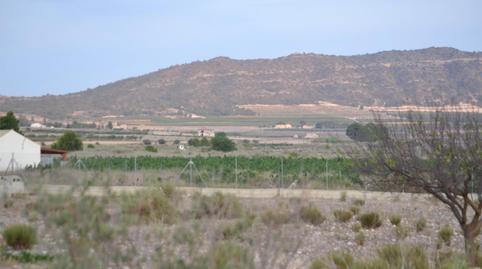 Finca rústica en venda a Paraje las Beatas, 191, Salinas, Alicante - imatge 5 Foto 5 de Finca rústica en venda a Paraje las Beatas, 191, Salinas, Alicante