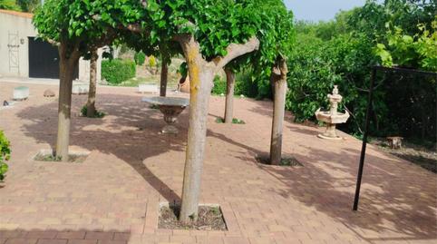 Photo 4 of House or chalet for sale in Aldea Cañadas Haches de Arri, 1, Bogarra, Albacete