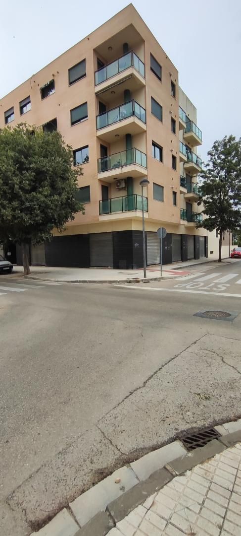 Exterior view of Flat to rent in Algemesí  with Air Conditioner, Heating and Parquet flooring