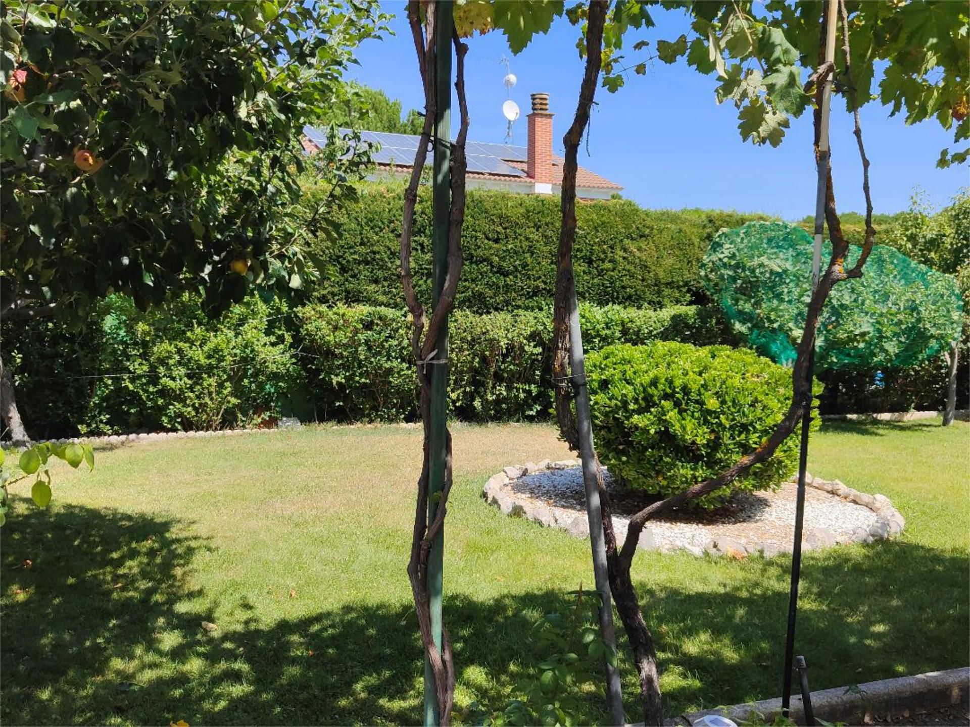 Garden of House or chalet for sale in Traspinedo  with Terrace and Swimming Pool