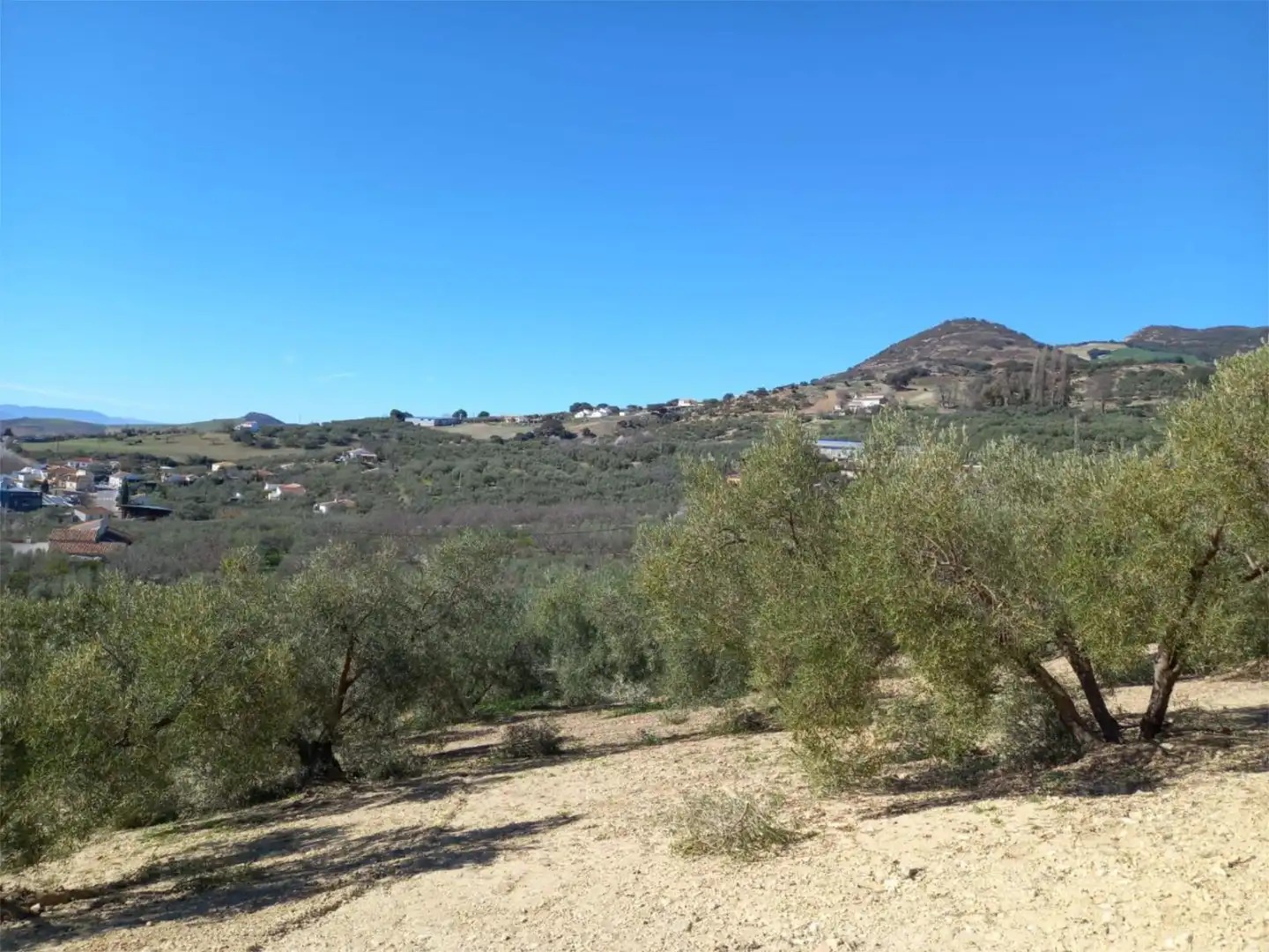 Finca rústica en venda a Poligono 164, 464, Villanueva de la Concepción Finca rústica en venda en Villanueva de la Concepción amb Terrassa