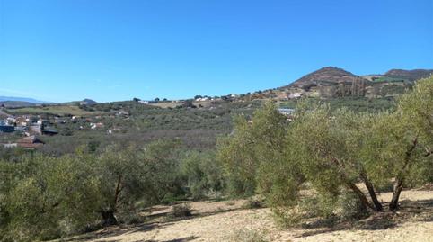 Photo 3 of Country house for sale in Poligono 164, 464, Villanueva de la Concepción, Málaga