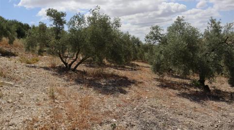 Photo 4 of Country house for sale in Poligono 164, 464, Villanueva de la Concepción, Málaga