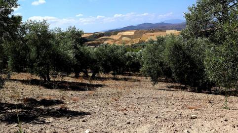 Photo 5 of Country house for sale in Poligono 164, 464, Villanueva de la Concepción, Málaga