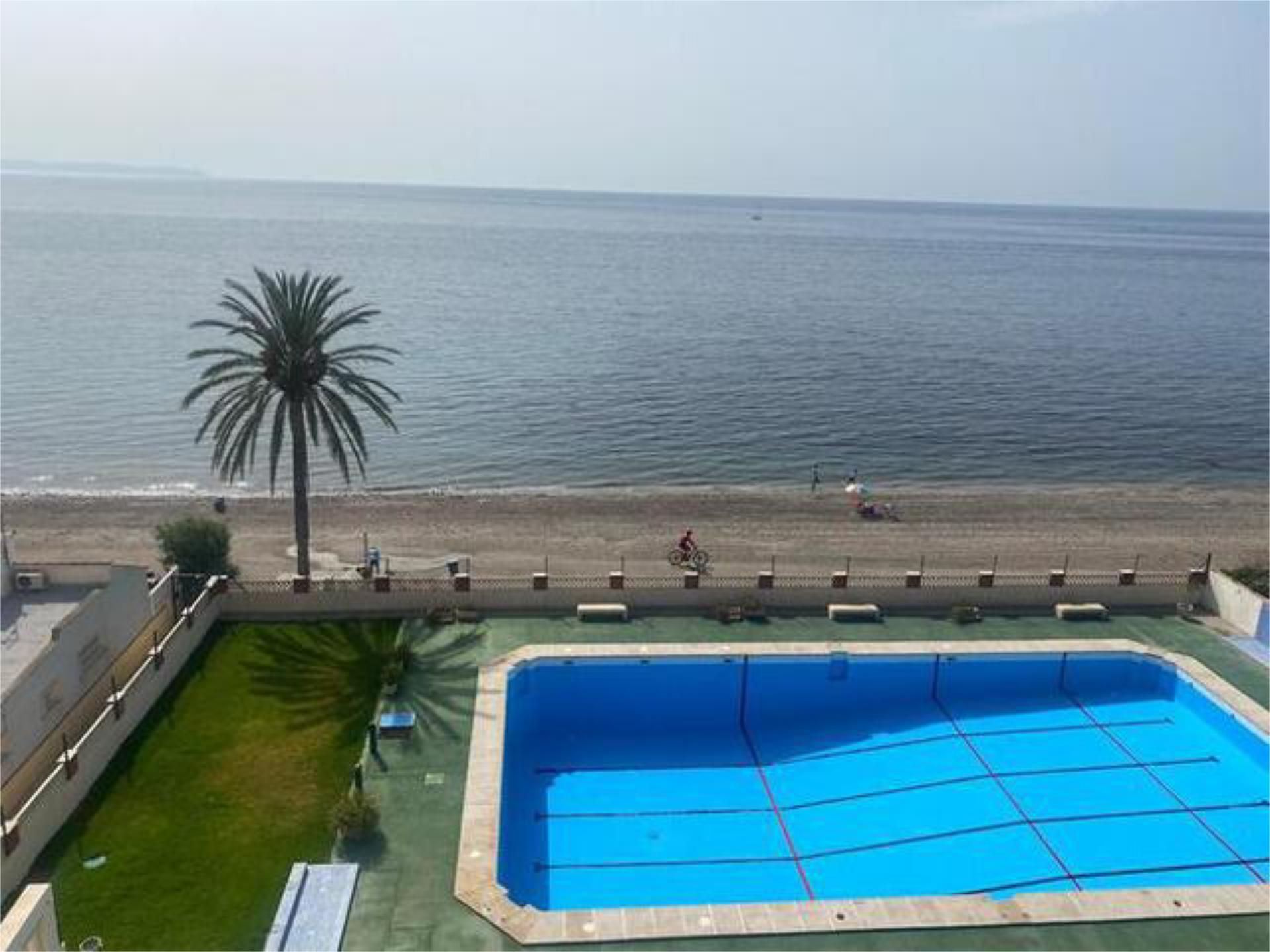 Swimming pool of Apartment to rent in Roquetas de Mar  with Heating, Private garden and Swimming Pool