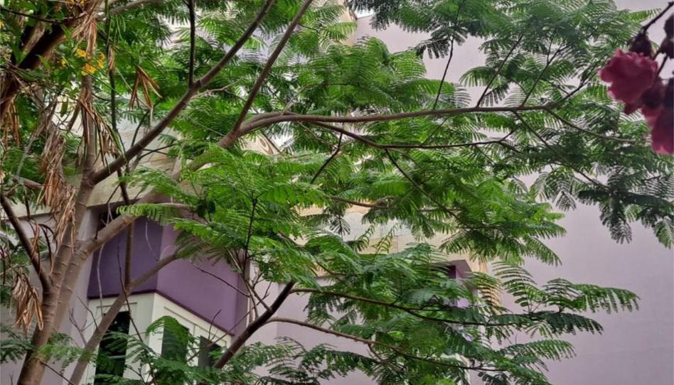 Flat for sale in Calle Juan Melián Alvarado, 10, Tafira, Las Palmas - image 1 Photo 1 of Flat for sale in Calle Juan Melián Alvarado, 10, Tafira, Las Palmas