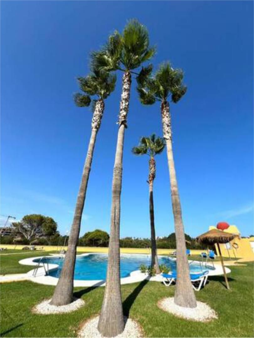 Attic to rent in El Sabinar – Urbanizaciones – Las Marinas – Playa Serena