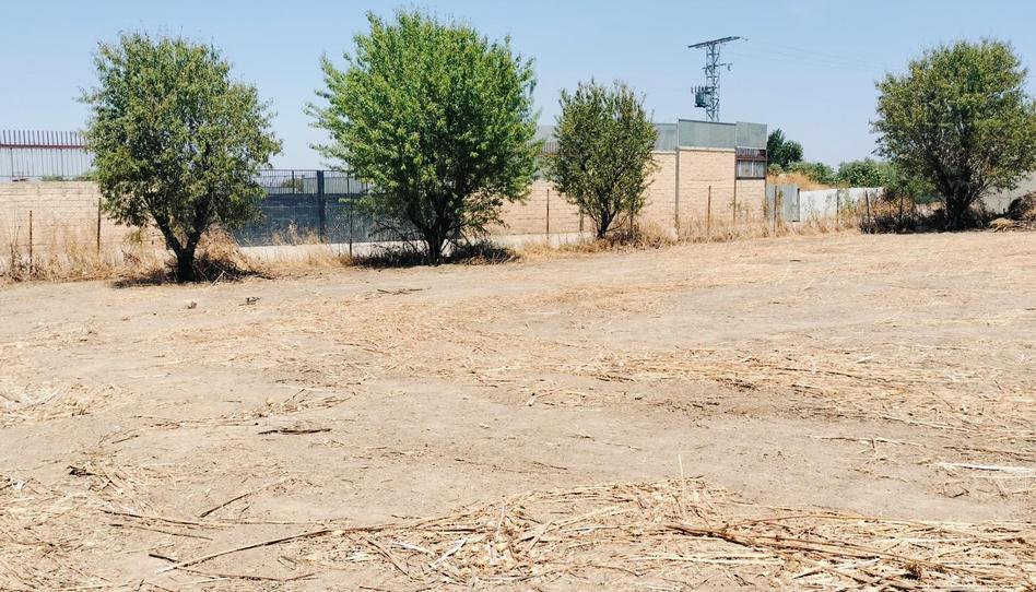 Industrial land for sale in Pasaje Poligono 9, 127, Parque Henares, Madrid - image 1 Photo 1 of Industrial land for sale in Pasaje Poligono 9, 127, Parque Henares, Madrid