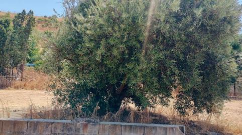 Industrial land for sale in Pasaje Poligono 9, 127, Parque Henares, Madrid - image 5 Photo 5 of Industrial land for sale in Pasaje Poligono 9, 127, Parque Henares, Madrid