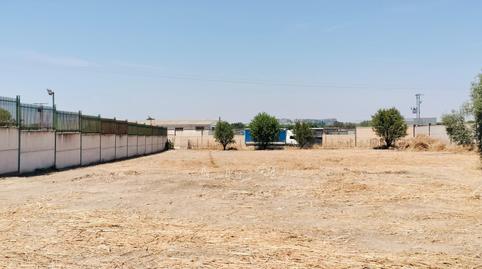 Industrial land for sale in Pasaje Poligono 9, 127, Parque Henares, Madrid - image 4 Photo 4 of Industrial land for sale in Pasaje Poligono 9, 127, Parque Henares, Madrid
