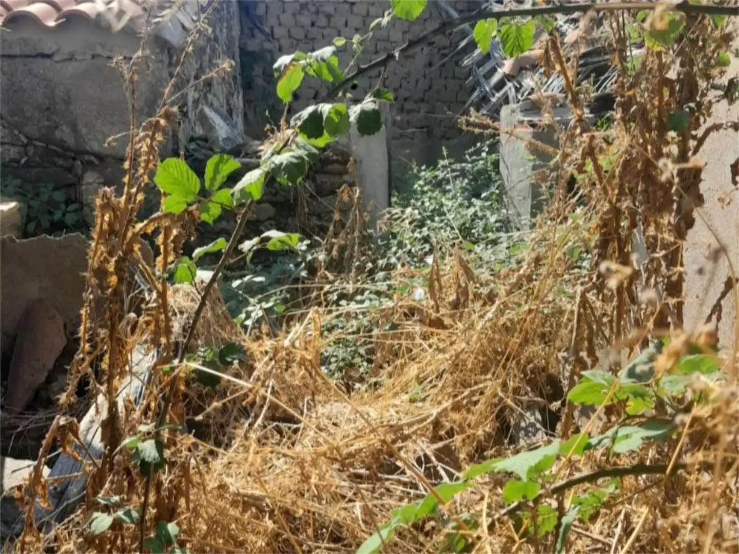 Garden of Houses for sale in Santa María de Sando  with Private garden