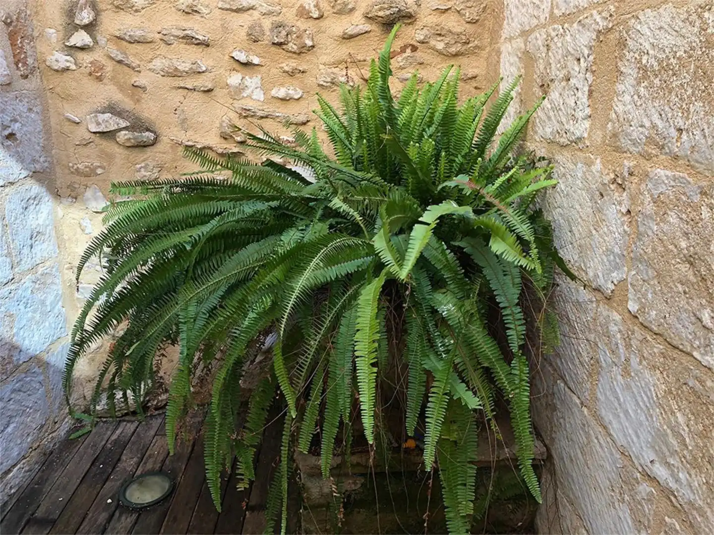 Piso de alquiler en Carrer Sant Josep, 7, Centro ciudad Piso de alquiler en Carrer Sant Josep, 7, Centro ciudad