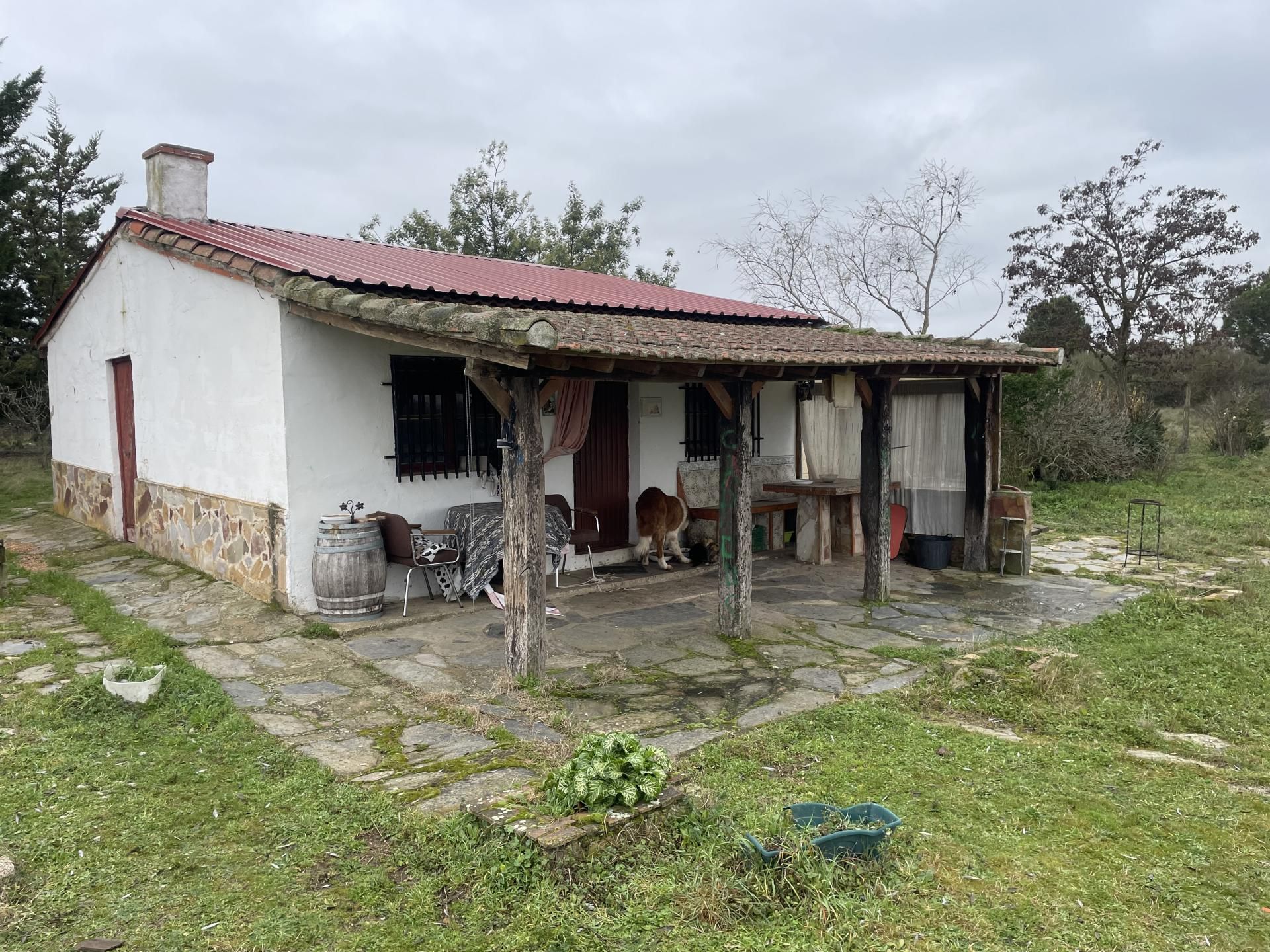 Vista exterior de Finca rústica en venta en Andavías