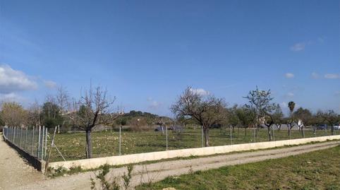 Photo 5 of Flat for sale in Carrer Camí Vell D'inca, 2, Campanet, Illes Balears