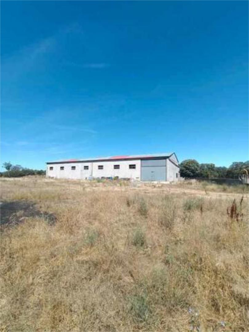 Exterior view of Industrial buildings to rent in Soria Capital 