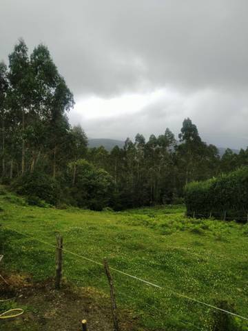 Finca rústica en Venta en Lugar Igrexa, 5 en Alfoz